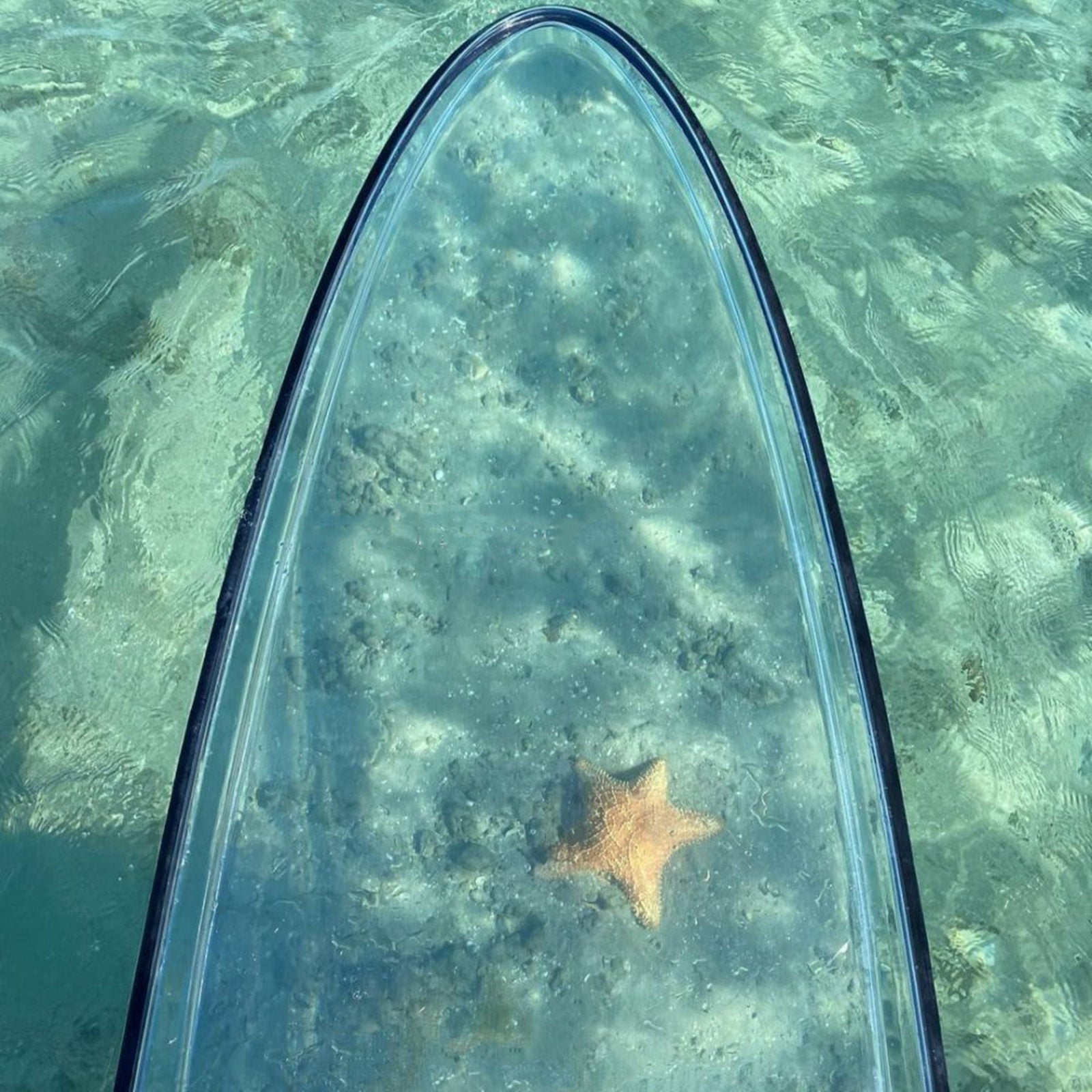 Crystal Clear Paddle Board